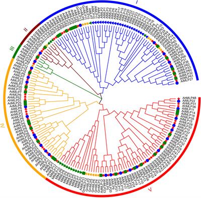 Genome-wide characterization of major latex protein gene family in peanut and expression analyses under drought and waterlogging stress